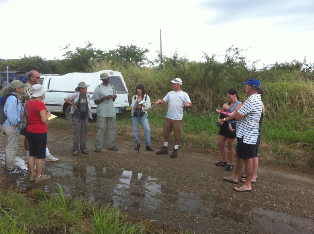 St. Croix BioBlitz 2020