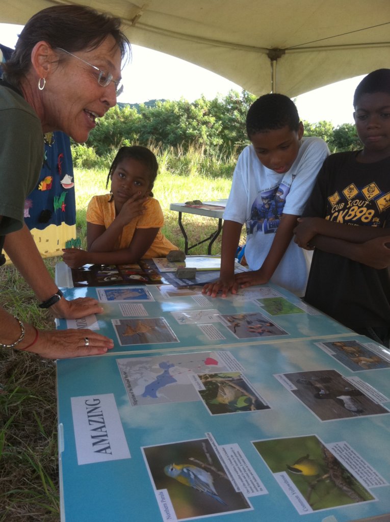 St. Croix BioBlitz 2020