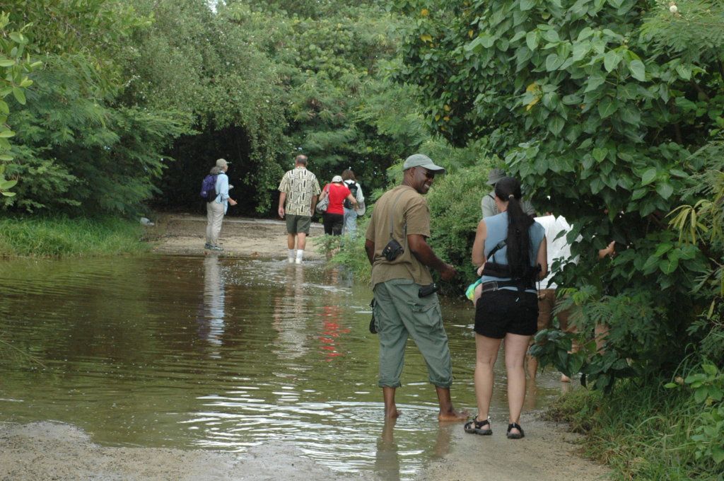 St. Croix BioBlitz 2020