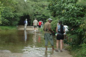 Bioblitz 2010