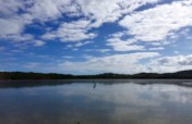 St. Croix BioBlitz 2020