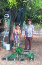 Seedling producers in rural community