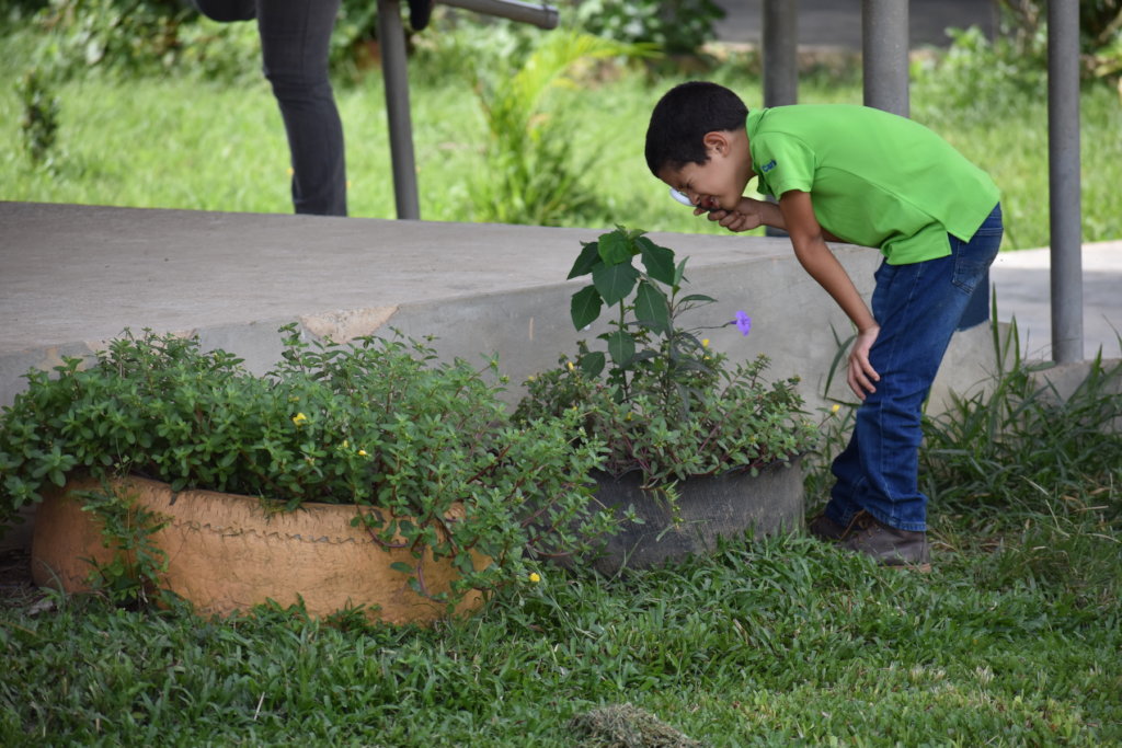 Climate action in rural communities during COVID