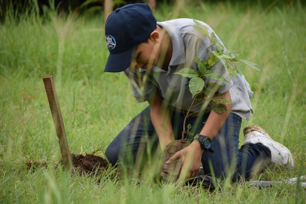 Climate action in rural communities during COVID