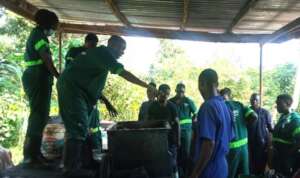 INTERNS (YOUTH) FROM VARIOUS TRAINING INSTITUTIONS