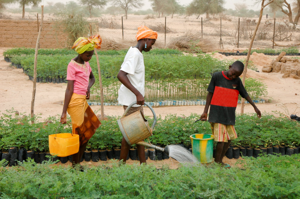 Drill Wells to Save Lives & Empower Women & Girls