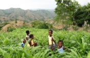 Provide access to healthcare in rural Haiti
