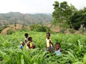 Provide access to healthcare in rural Haiti