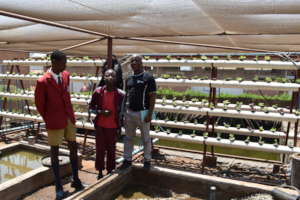 A Sustainable Food Project