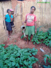 Watering the vegetables