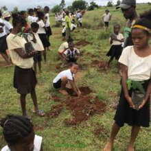 Reforestation by our students