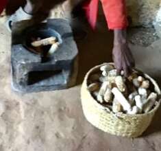 Corn cobs as fuel for the improved cookstove