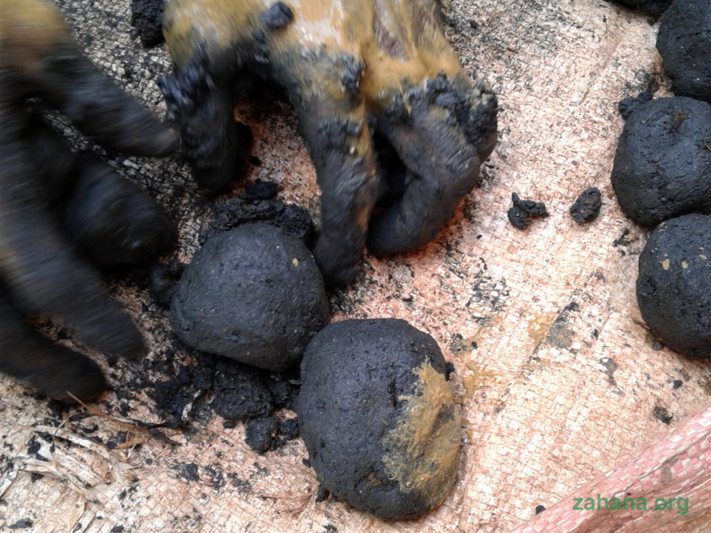 Improved cookstoves prevent deforestation