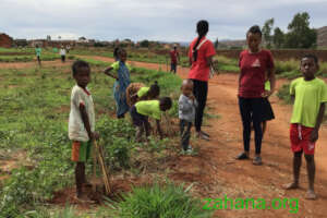 Reforestation as part of the celebrations