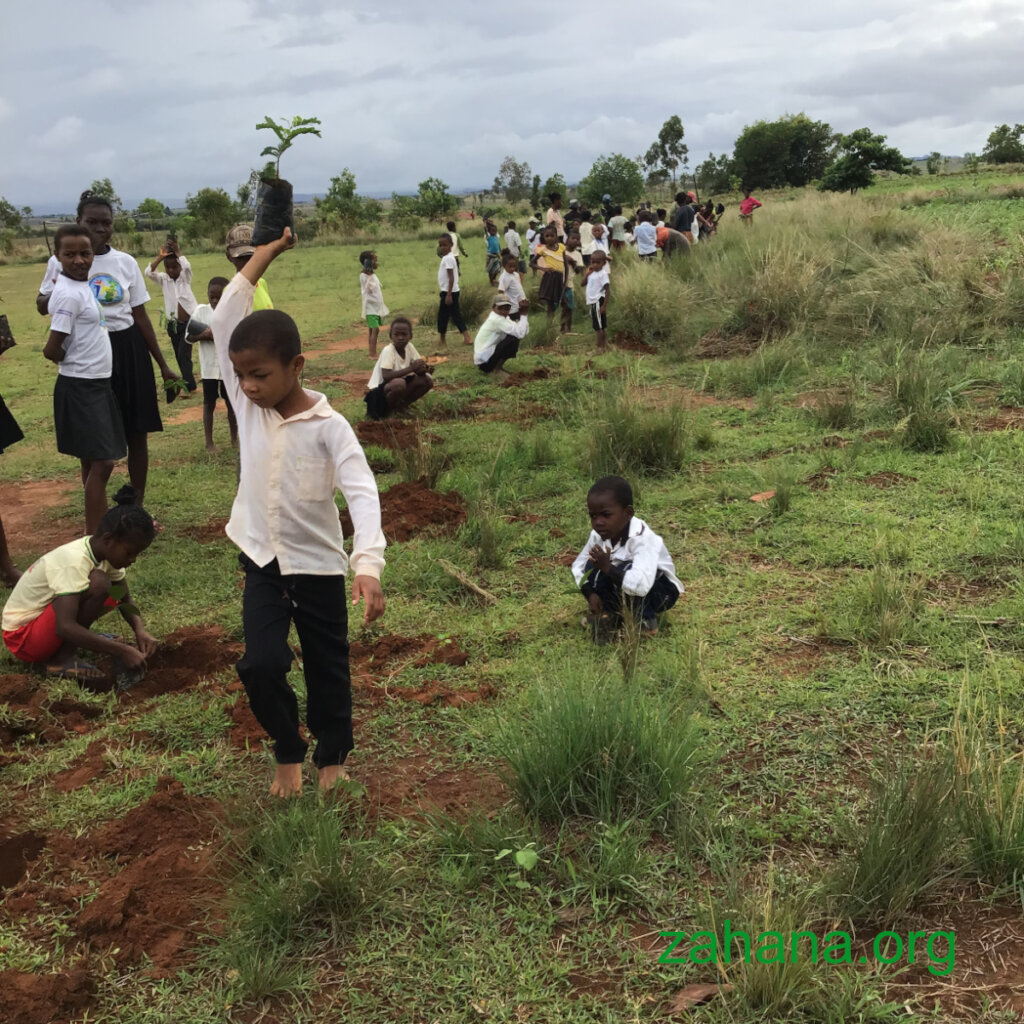 Reforestation as a celebration