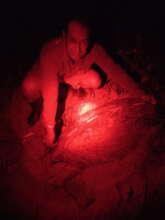 Community ranger measuring Eastern Pacific Green