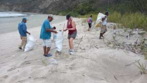 Beach cleanup