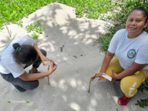 Women rangers checking on nest