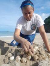 Ranger evaluates nesting success