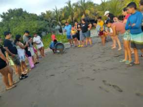 Local tourists attend turtle hatchling release