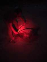 Green sea turtle nesting at night under red light