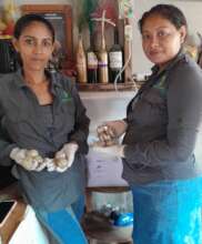 Managing sea turtle eggs in incubator