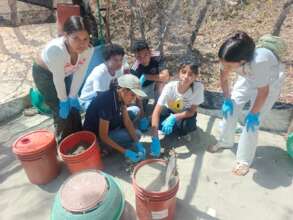 Working at the turtle hatchery