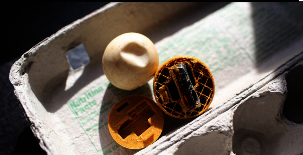 Save the Sea Turtles