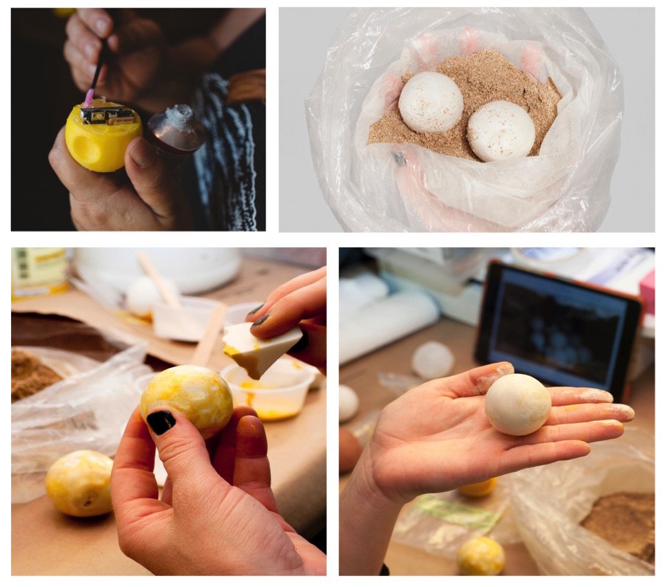 Save the Sea Turtles