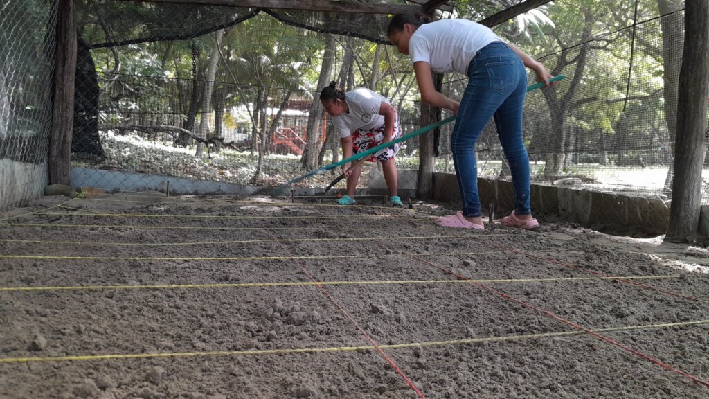 Keeping the turtle hatchery clean