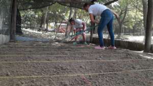 Keeping the turtle hatchery clean