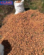 Irish Potatoes