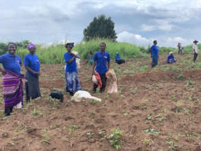 At the Farm in Mwerwerwe