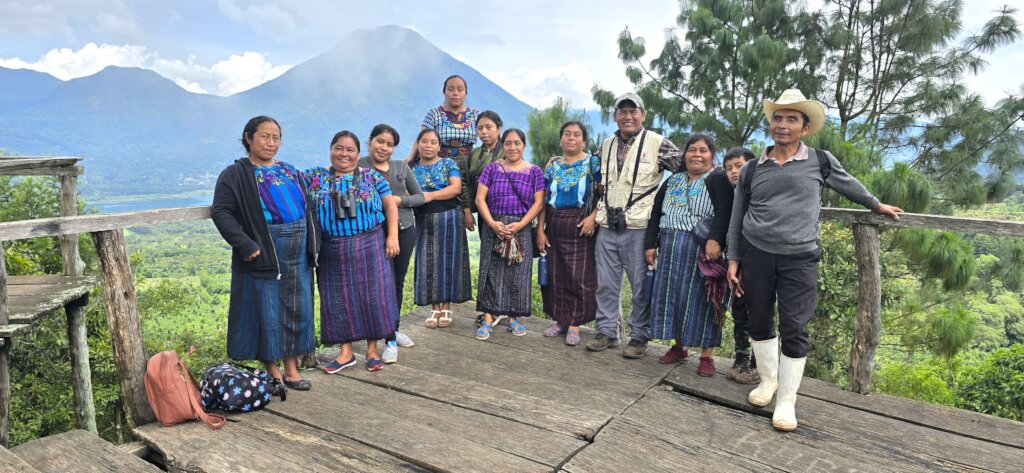 Participants and staff during a Forest Walk
