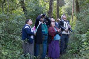 Participants catch a rare glimpse of the quetzal