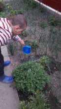 Sharing plant-care during a teacher home visit!