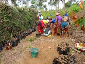Community members tending to the food forest.