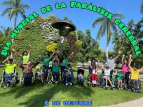 World Palsy Day