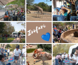 Zoo Visit