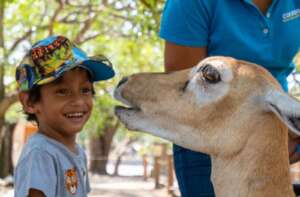 Visita al Zoofari