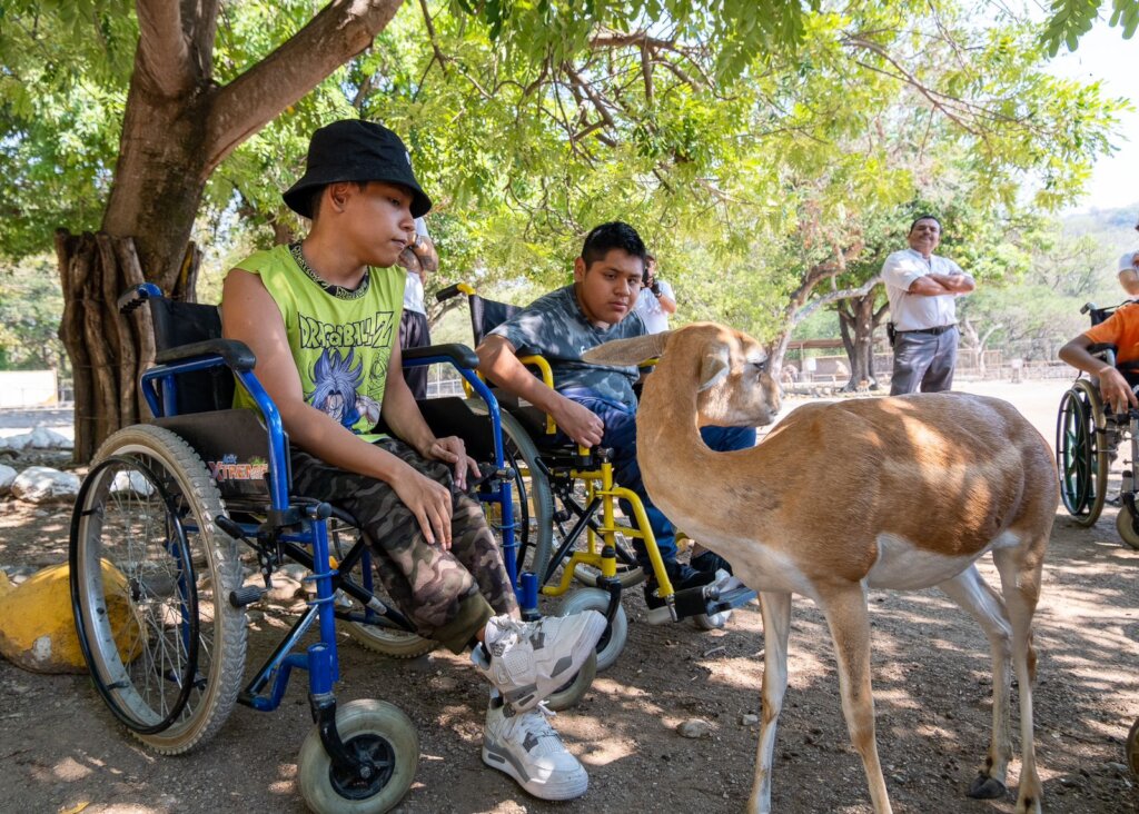 Come to school boys and girls with Cerebral Palsy!