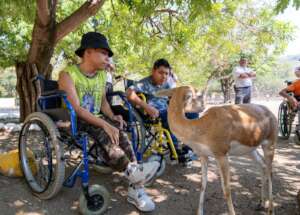 Visit to Zoofari
