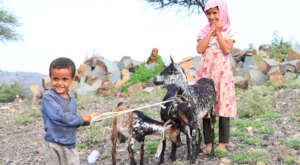 Children with livestock provided to families.