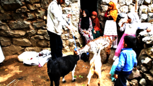 Sending animals to families affected by floods