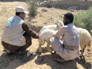 Supporting Livelihoods for Families in Need