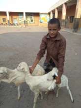 Zabid income generation project