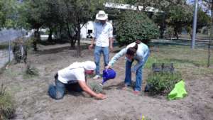 Pollinator's garden in Monterrey