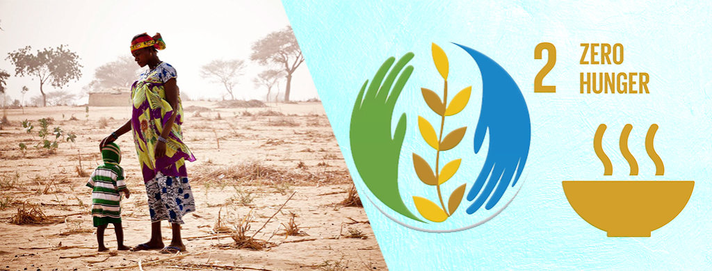 Protect and rehabilitate livelihoods of Vulnerable - GlobalGiving