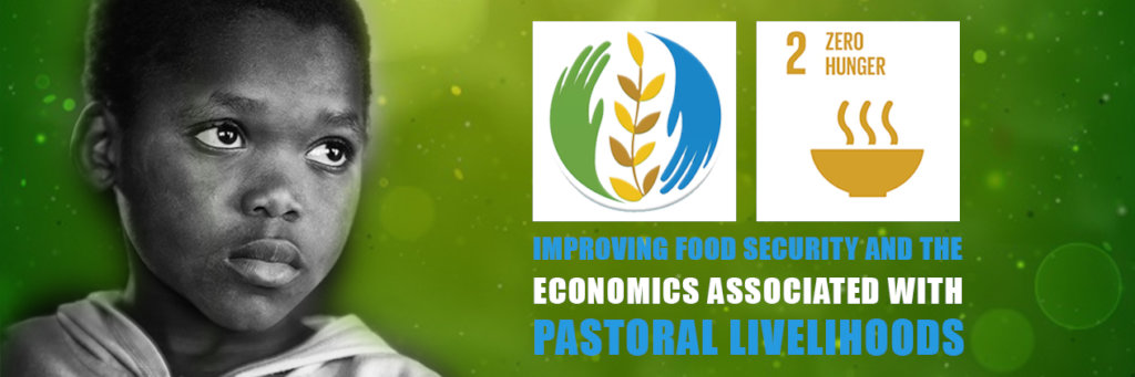 Protect and rehabilitate livelihoods of Vulnerable - GlobalGiving