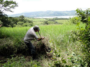 Deep grass